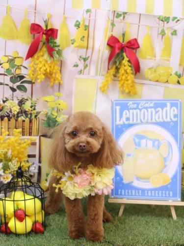 20240421このはちゃん